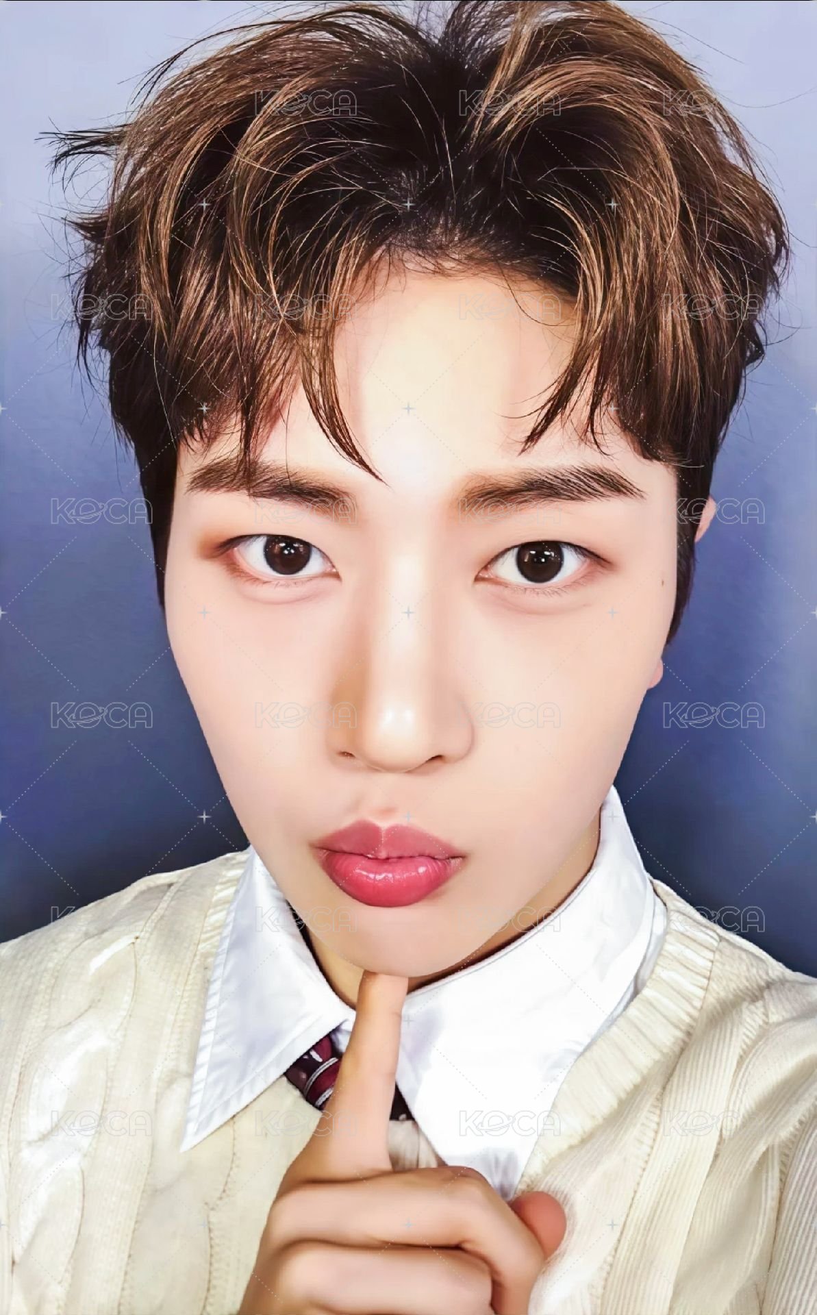 世巡TW 隨機卡 ver.B 正面