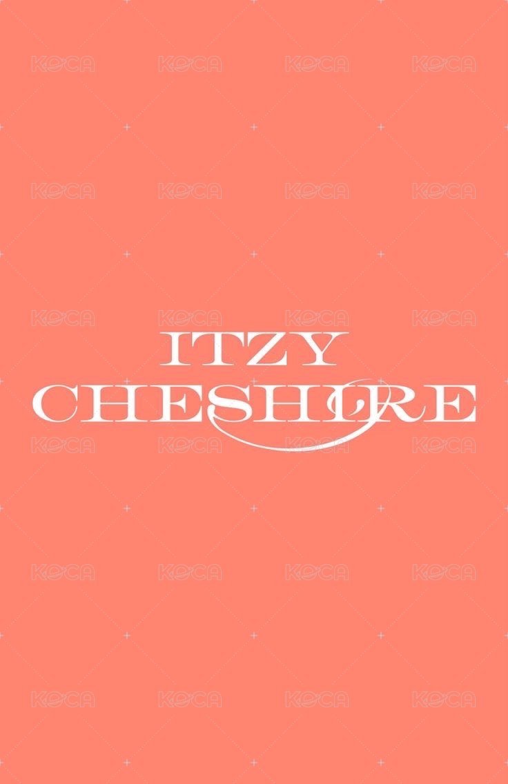 CHESHIRE mp 預售 特典卡  背面