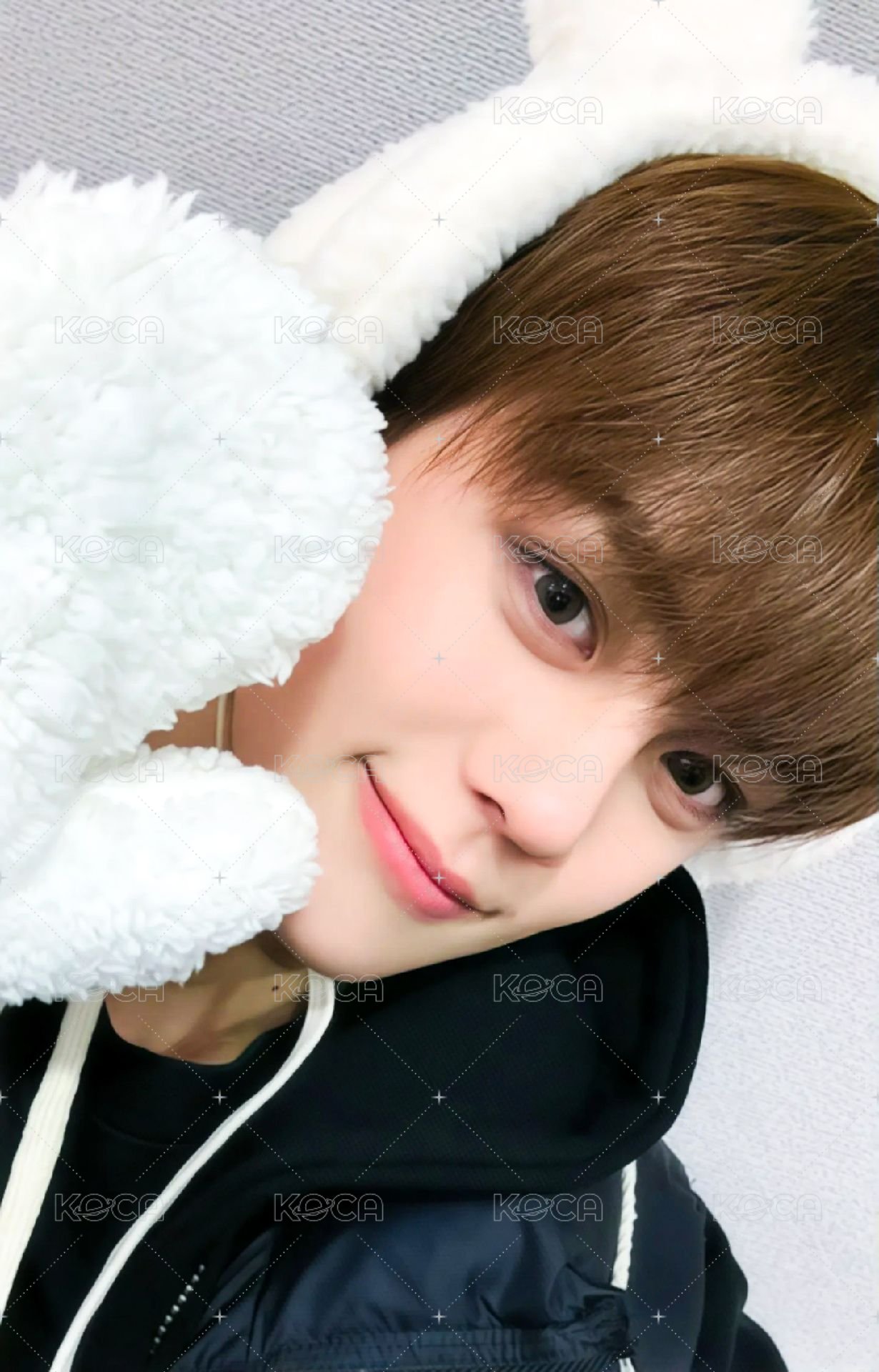 迷二 ms 特典卡 北極熊 ver. 正面