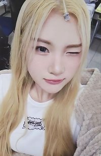 數單一 el 幸運卡 