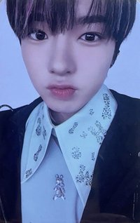 Songbird kms 預售v1 特典卡 