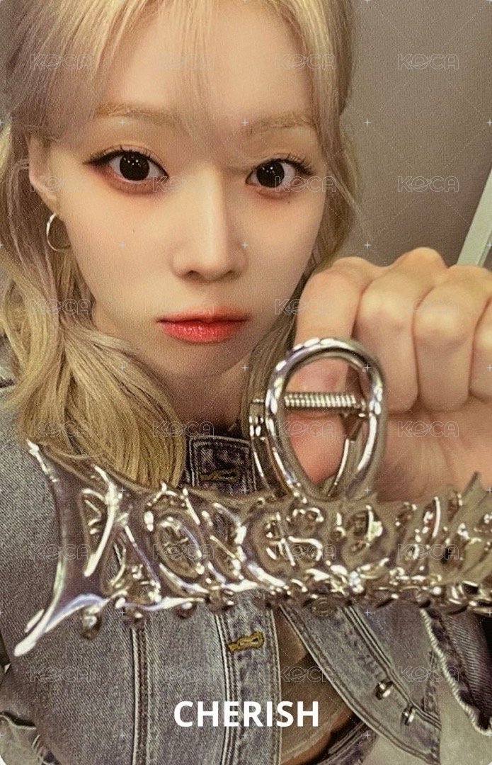 正規一 周邊卡 快閃鯊魚夾冬 正面