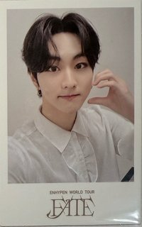 FATE世巡 演唱會 DVD / CD 卡 