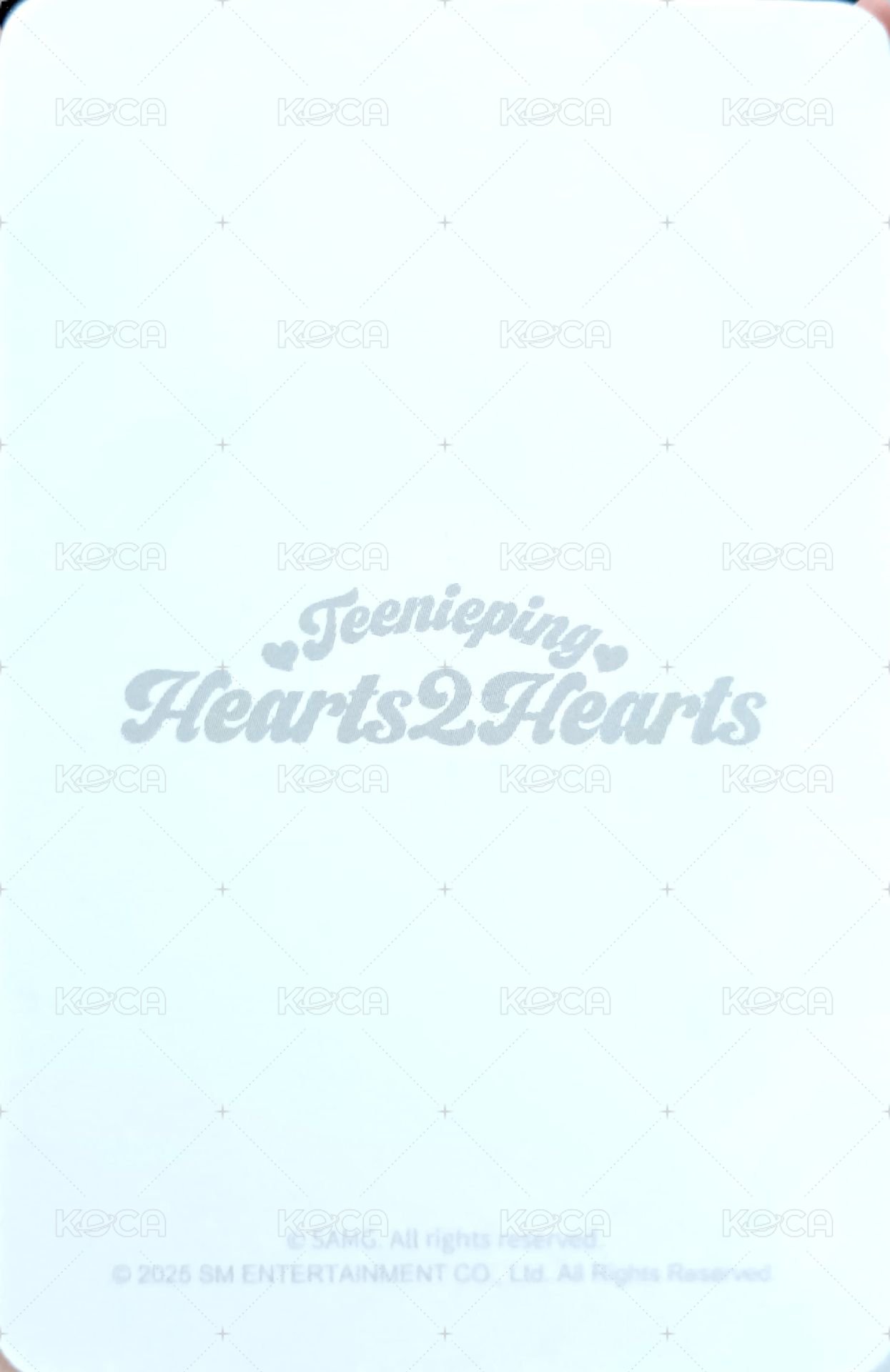 Teenieping聯名 周邊卡 卡套 背面