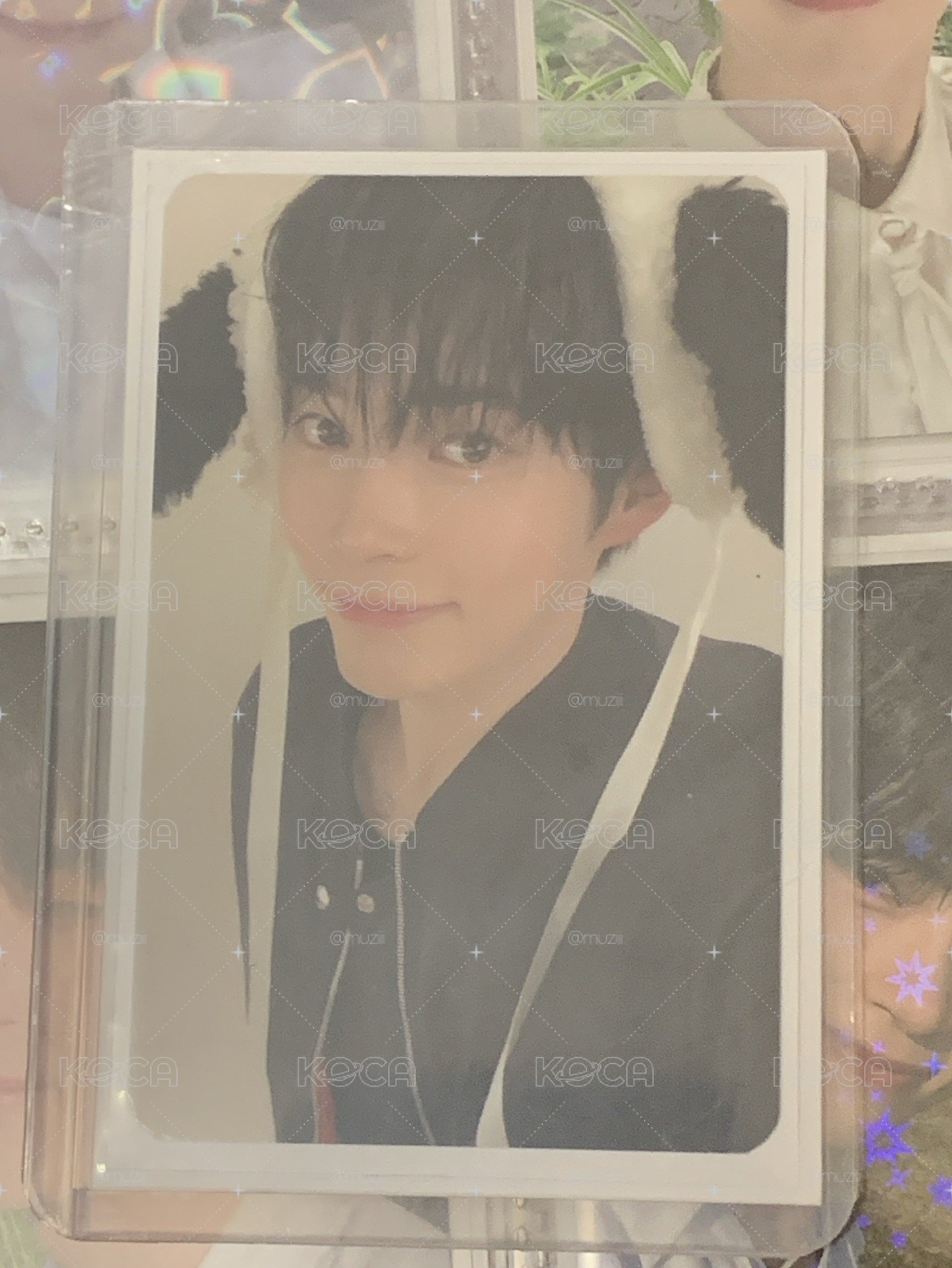 成韓彬迷五 ms狗狗卡