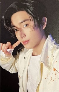 宵 專輯卡 通常盤隨機卡