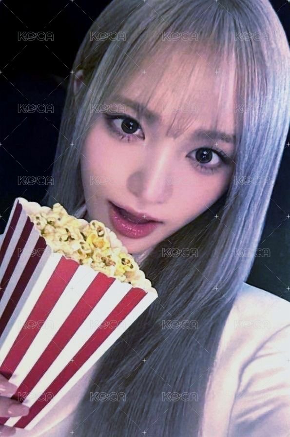 世巡電影 周邊卡 卡包卡 爆米花 正面