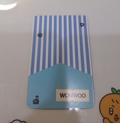 nana bnb wonwoo