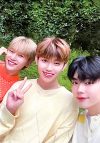 芭蘭歌林 代言卡 2.0