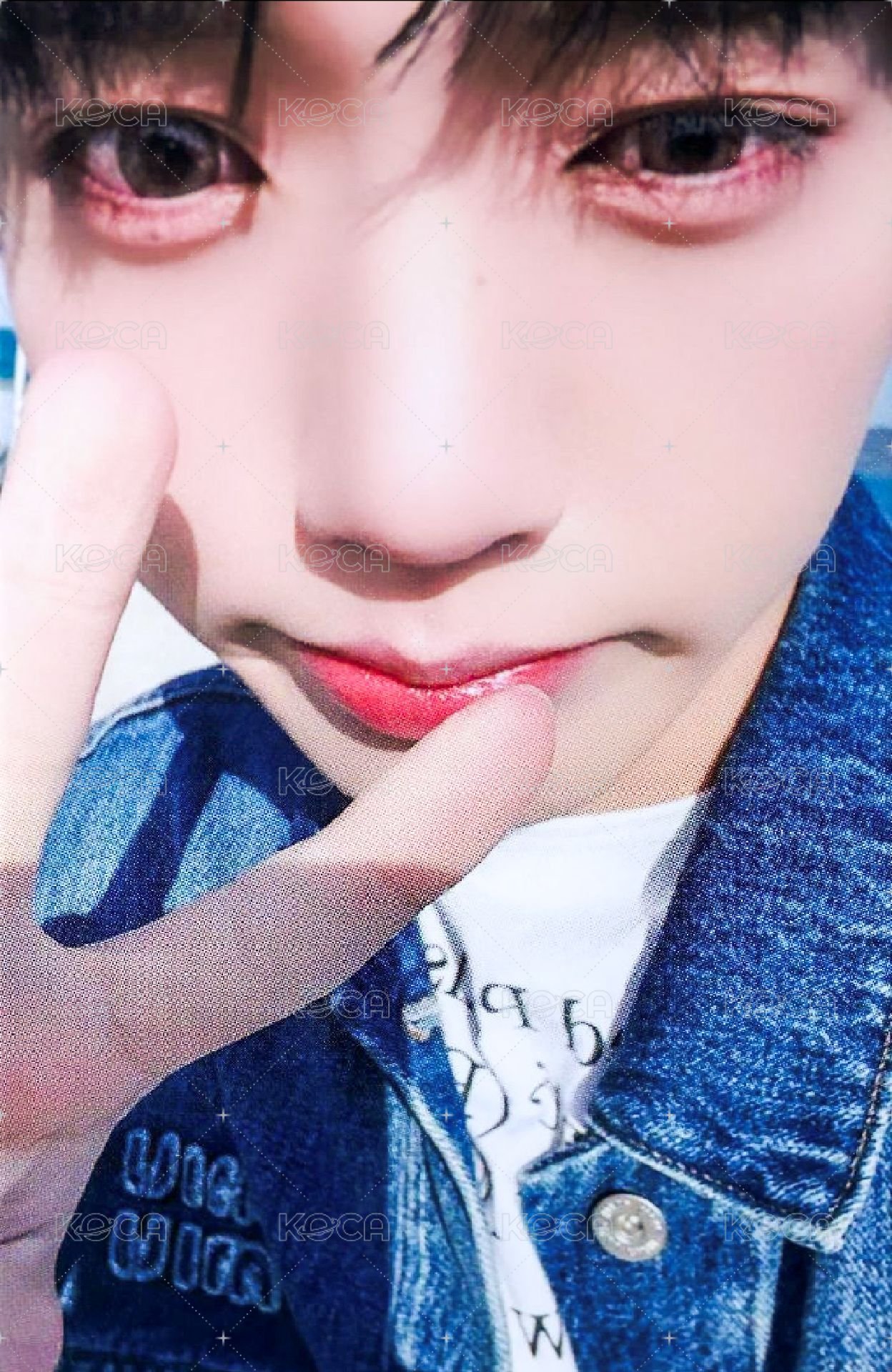 迷三 wf 特典卡  正面