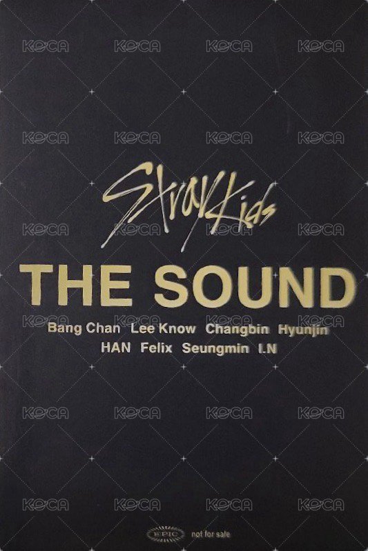 THE SOUND 入場卡 / 場限卡 大阪 02/26 背面