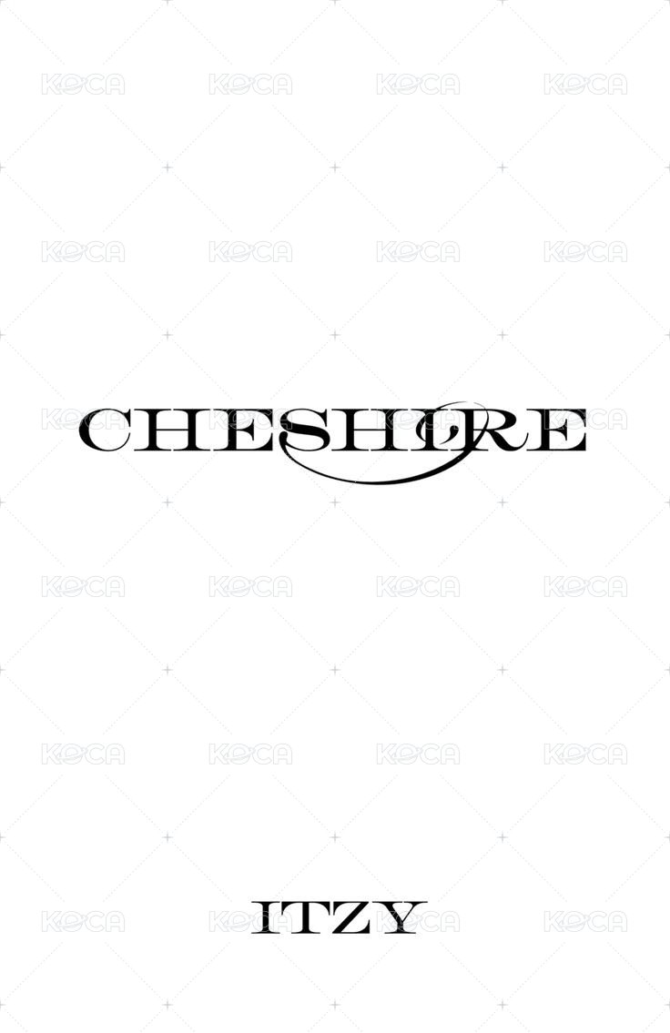 CHESHIRE yes24 預售 特典卡  背面