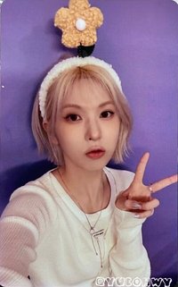 FORWARD 萬星 簽售卡 花朵