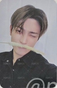 GH3 dmm 特典卡 狗尾草ver. 正面