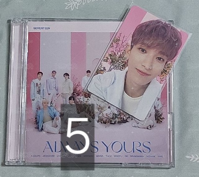 always yours 閃盤全專