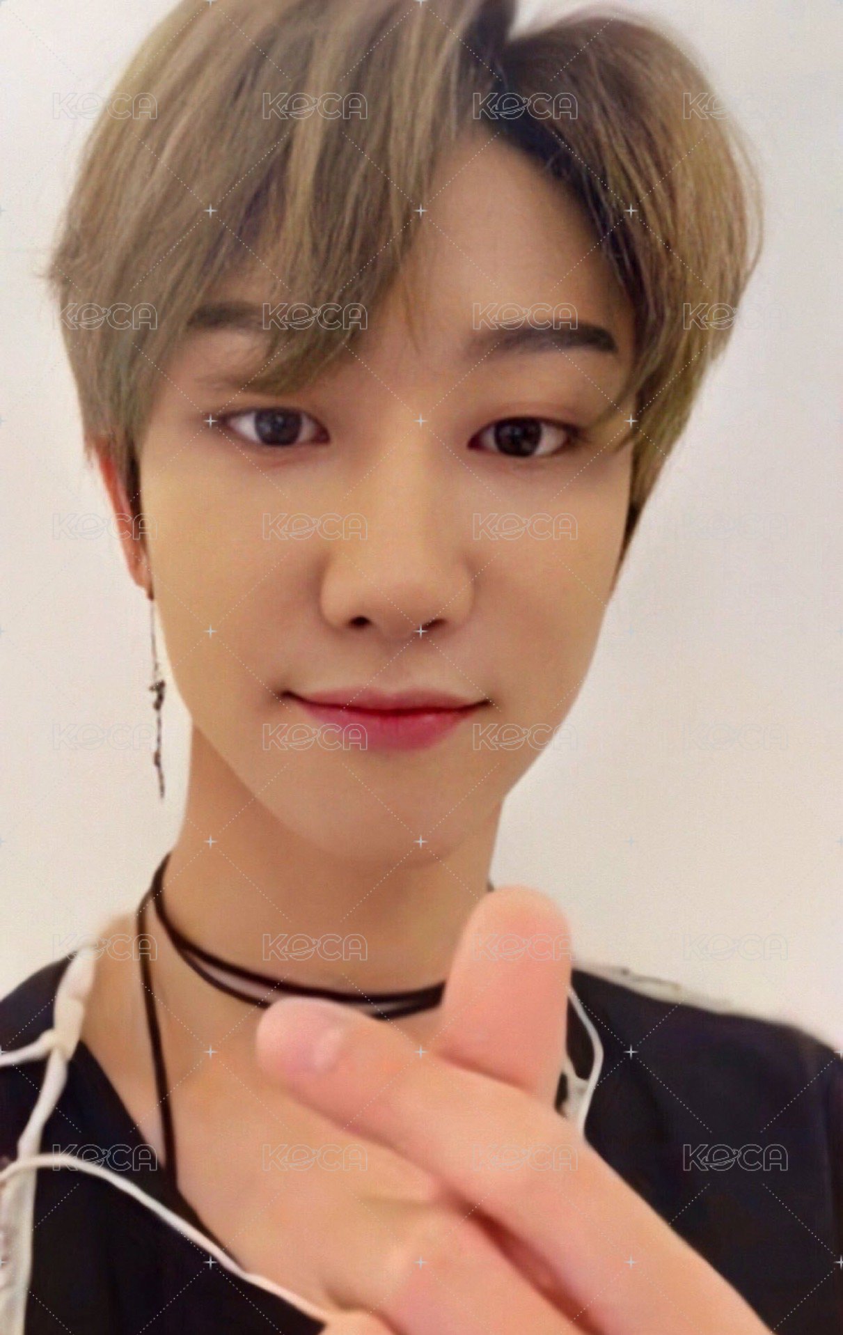 落花 專輯卡 CARAT ver 正面