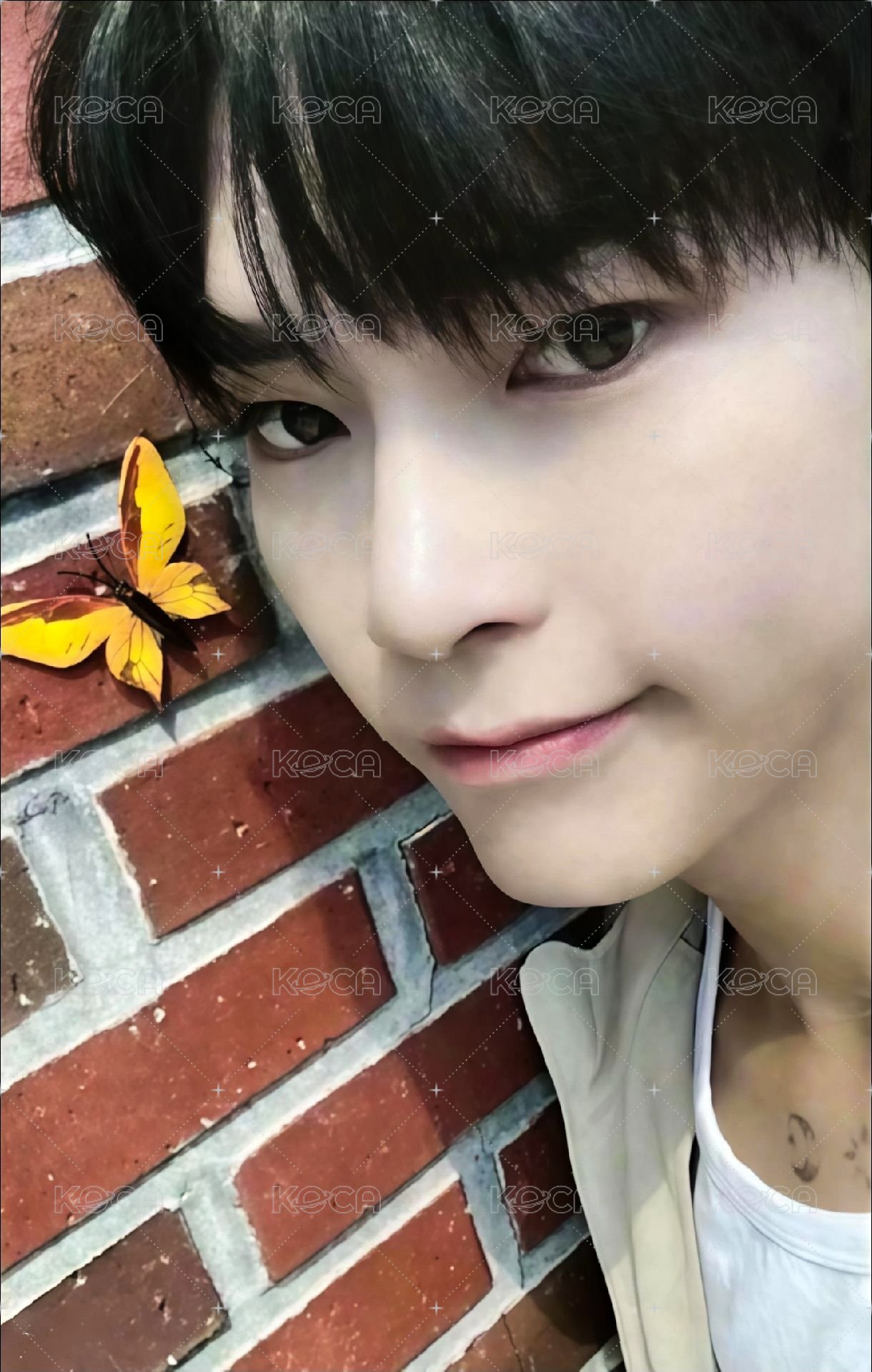 迷三 ms 4.0 幸運卡 蝴蝶 ver. 正面