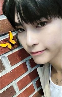 迷三 ms 4.0 幸運卡 蝴蝶 ver.