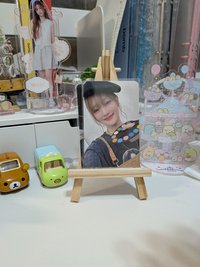 阳光明媚 小咪也是