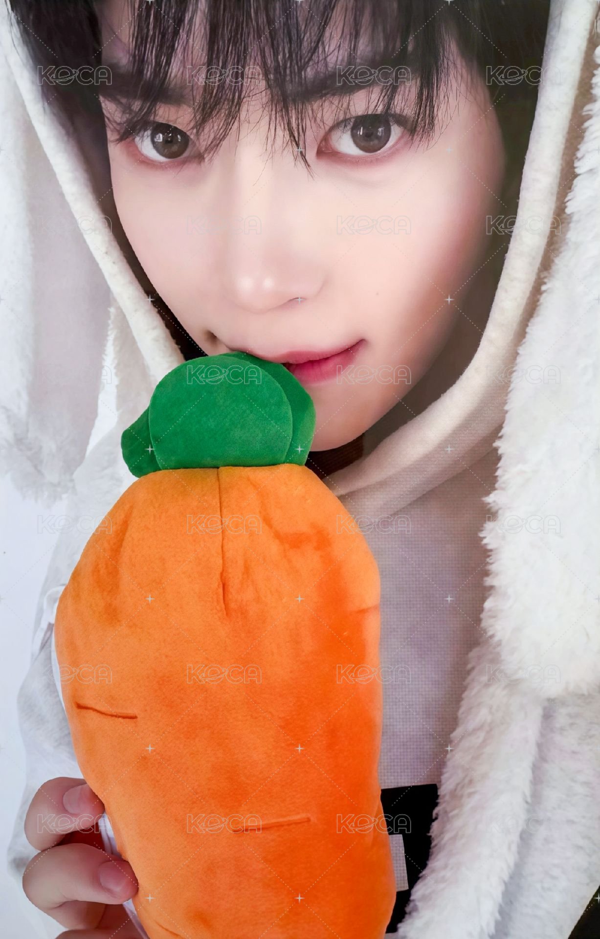 迷五 ms 特典卡 兔毯ver. 正面