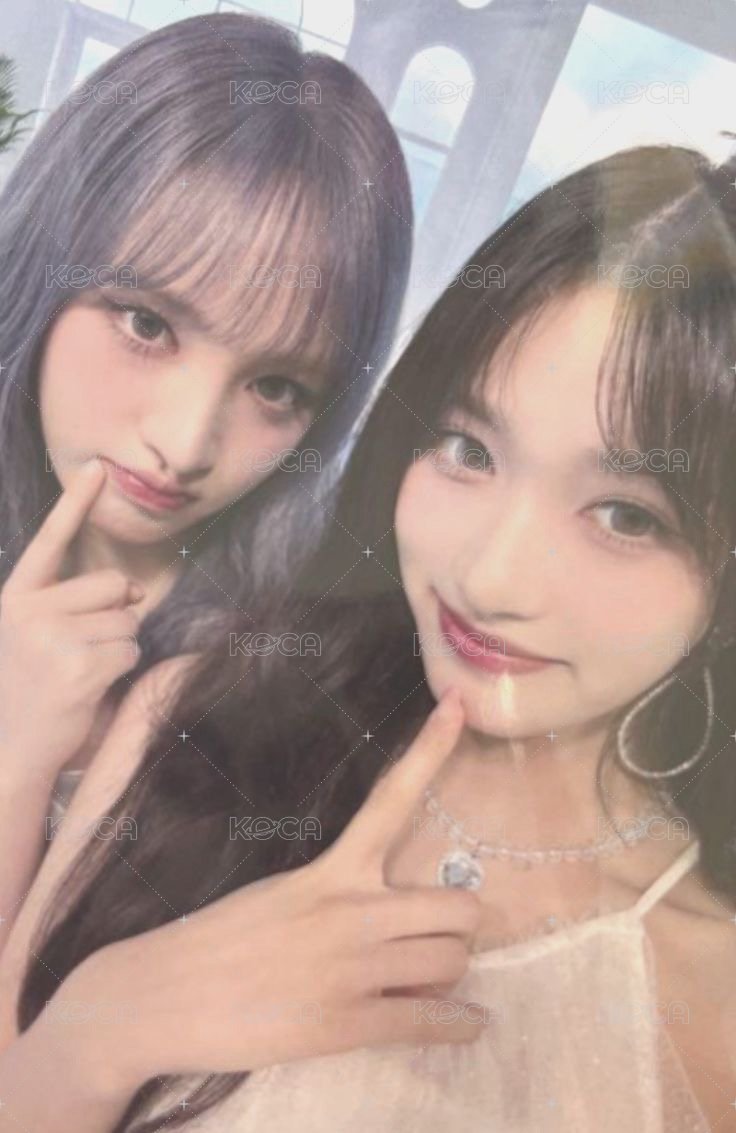 ALIVE as 特典卡  正面