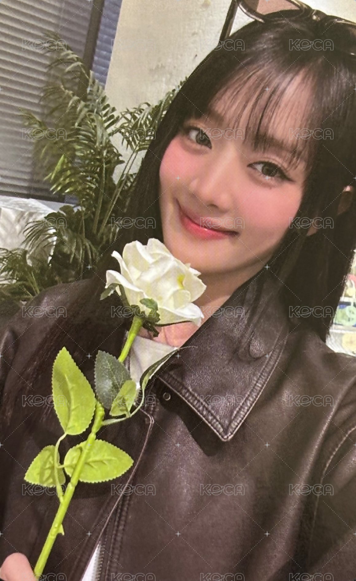 her快閃 周邊卡  正面