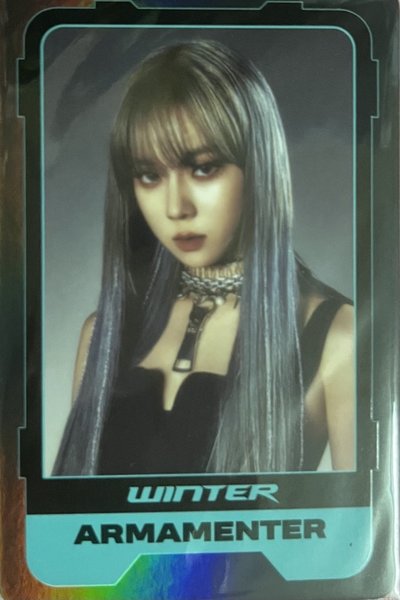 aespa winter girls 角色卡