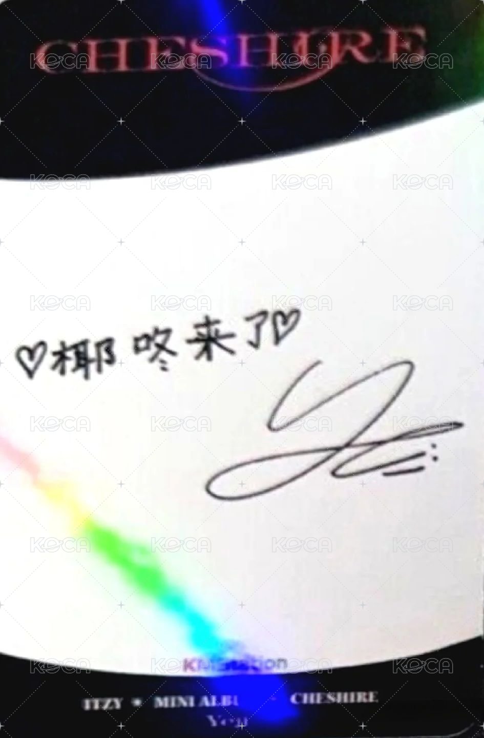 CHESHIRE kms 預售 特典卡  背面