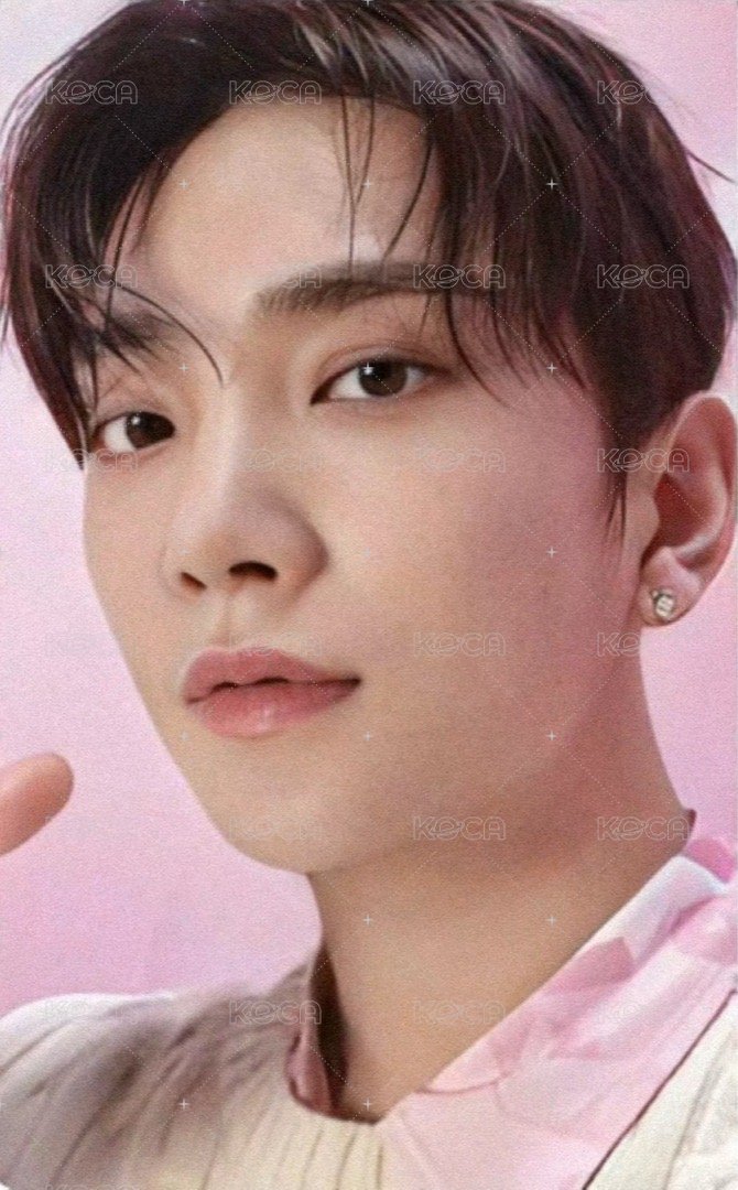 DREAM 日咖 特典卡 ｜WVSJP特典 正面