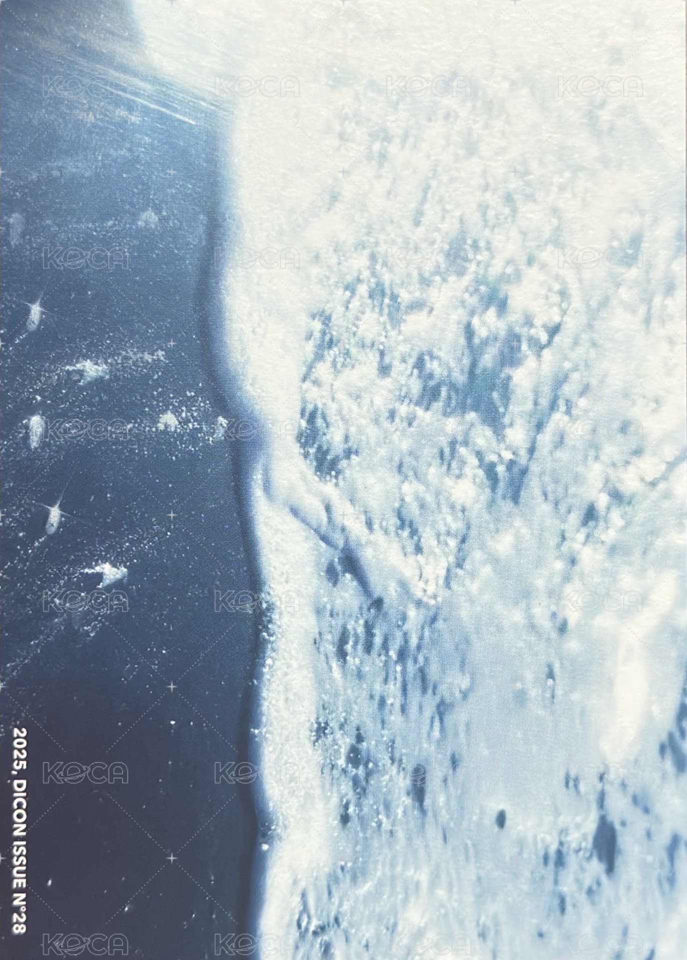 D社/D社日本快閃 明信片 A-TYPE 背面