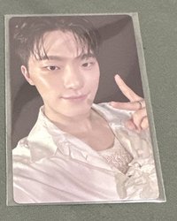 DINO MINI12 特典卡