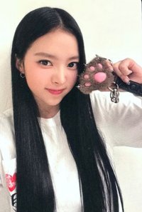 mini 1 nemoz 特典卡 