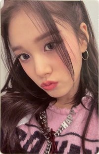 Teddy Bear wvs 1.0 特典卡 wvs勾