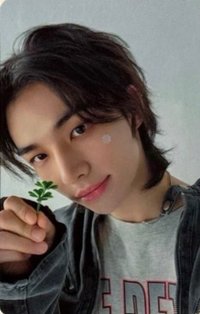 Social Path 專輯卡 通常盤