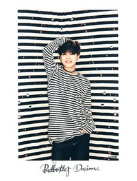 蝴蝶夢 相框 雙面 明信片