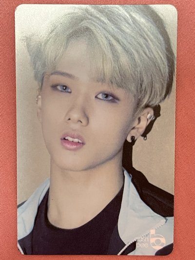 NCT DREAM志晟tmoney交通卡