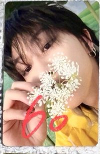 雨衣盤1