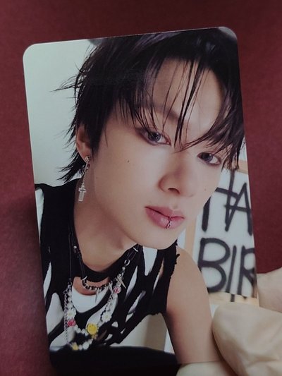 正規五 克拉盤專卡 jun 俊