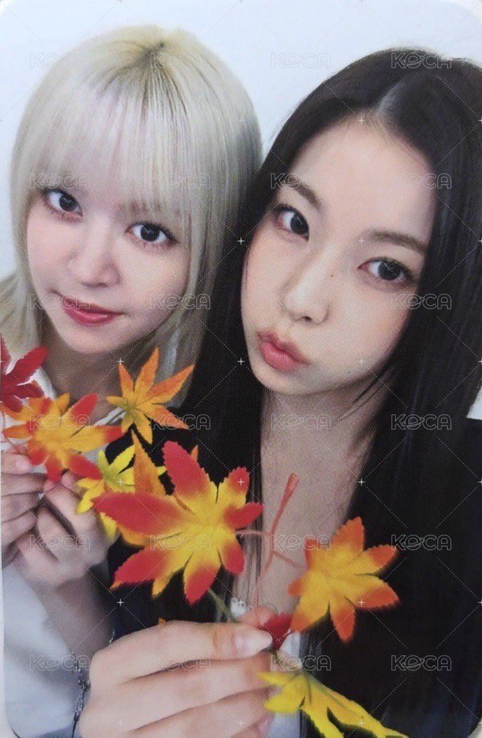 正規一 入場卡 / 場限卡 快閃展覽 楓葉莉圭雙人 正面