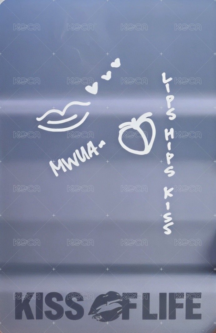 224 專輯卡 PB專卡 背面