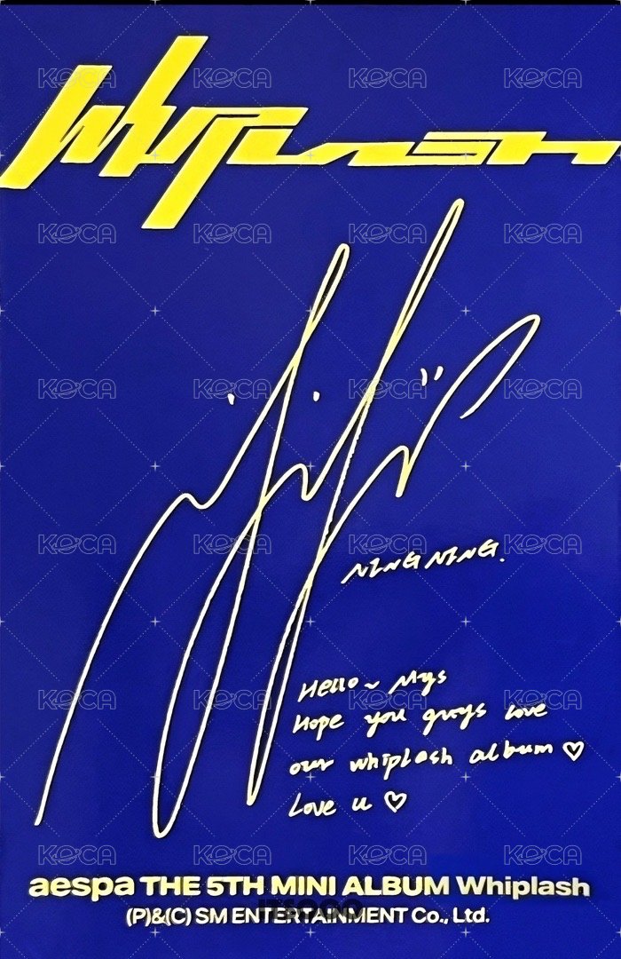 Whiplash target 專輯卡 target寧專卡 背面