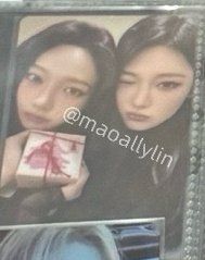 2024 聖誕雙人柚寧