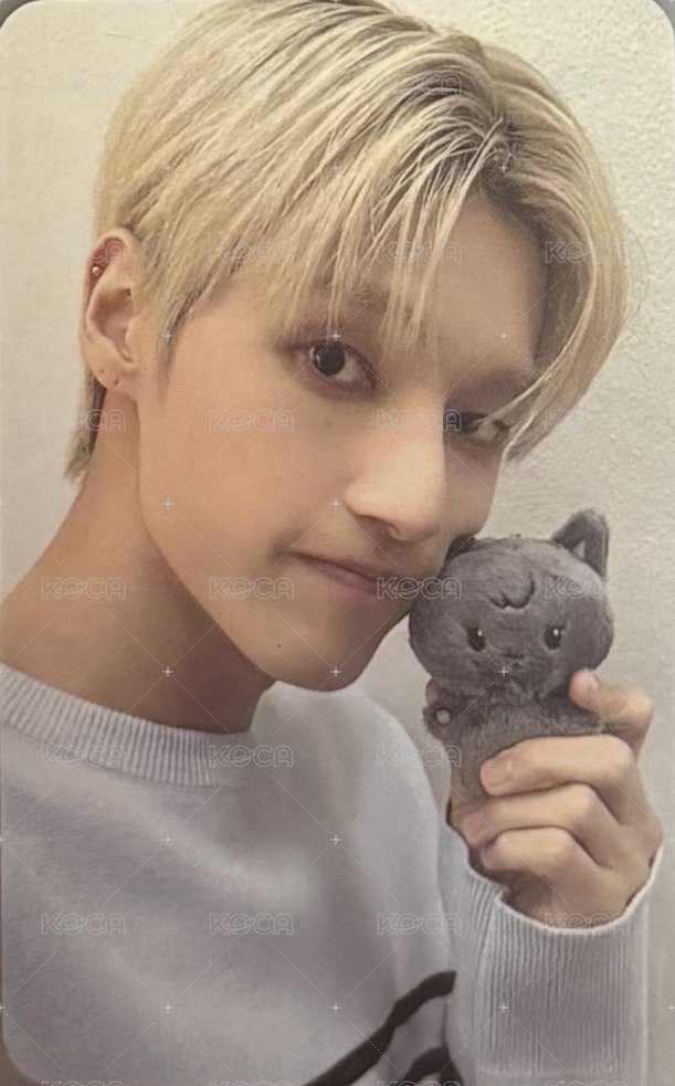 ANITEEZ IN THE CALLING 周邊卡 TINY ANITEEZ PLUSH DOLL 正面