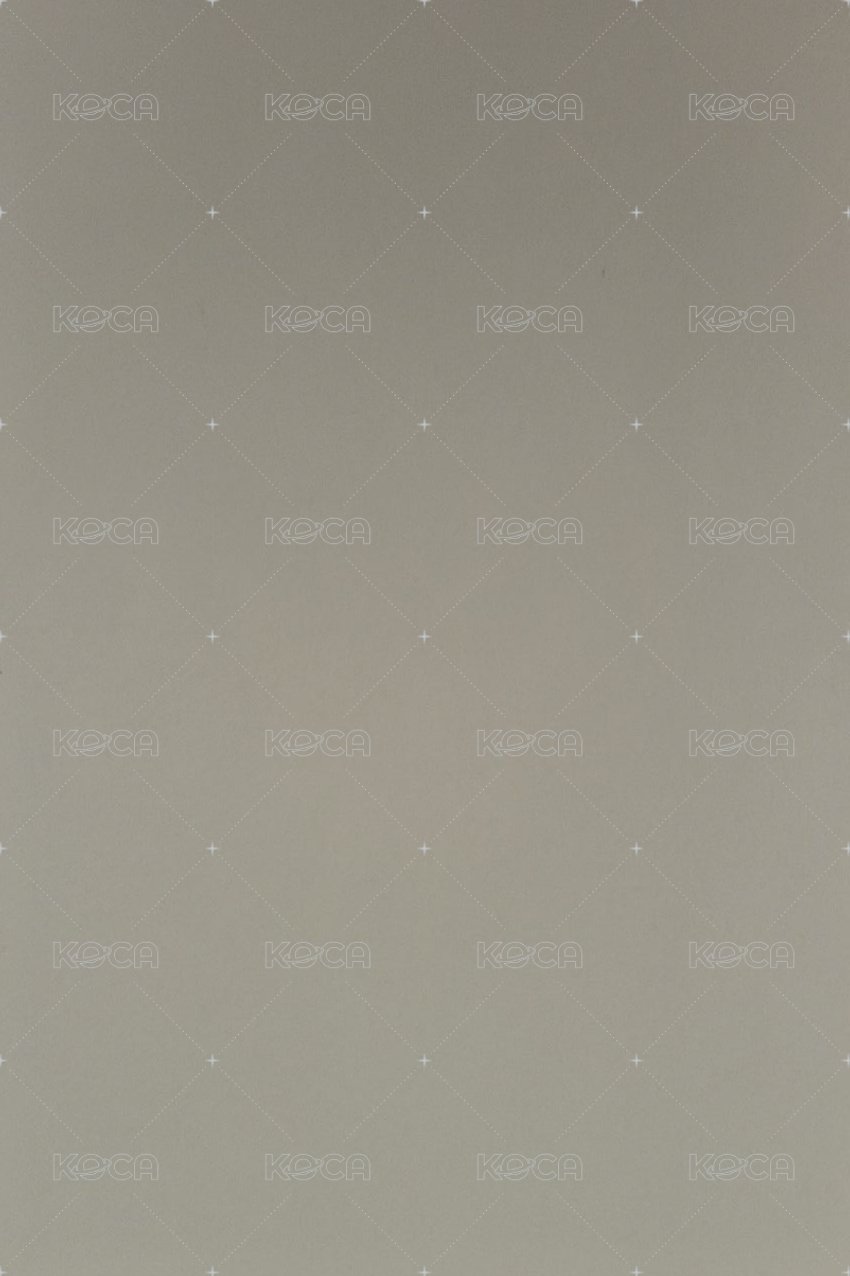 迷五 專輯卡 單封卡貼 背面