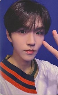 Songbird am 預售 特典卡 