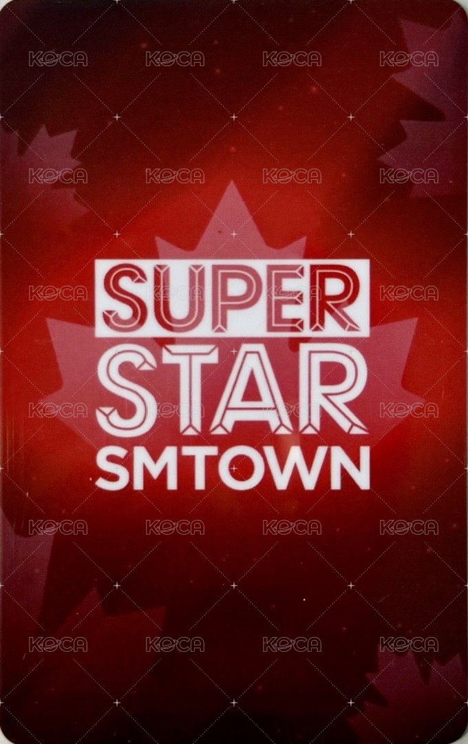 正規一 多倫多 遊戲卡 柚 背面