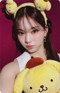 S am 特典卡 布丁狗莎