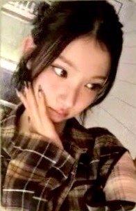 Focus 隨機卡 MD 1.0