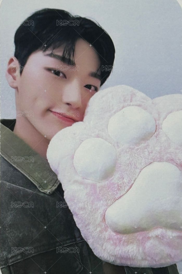 GH1 TOKTOQ 特典卡  正面