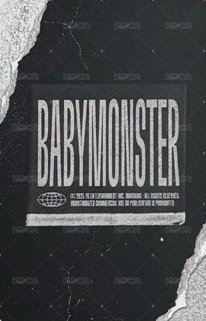 一期會員禮 wvs 會員禮開箱 抽選卡  背面